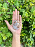 Flower Agate palmstone