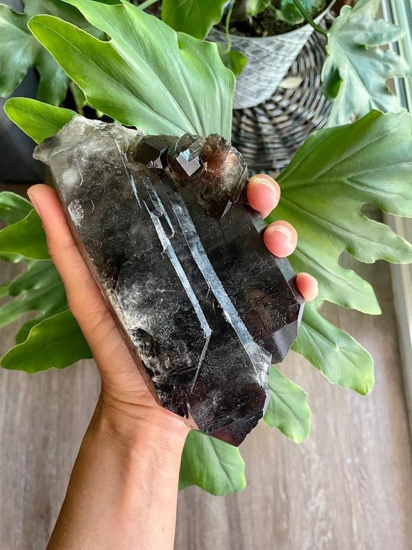 Large Smoky Quartz