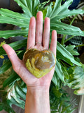 Green Opal Heart