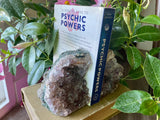 Amethyst Bookends