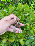 Carnelian Earrings