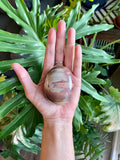 Petrified Wood Palmstone