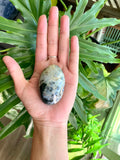 Ocean Jasper Palmstone