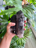 Large Smoky Quartz