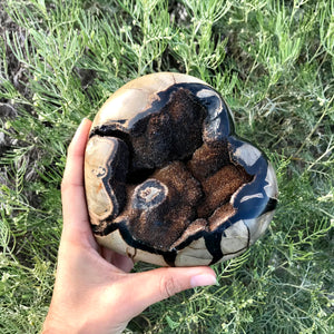 Septarian Heart