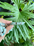 Blue Aragonite & Larimar Necklace