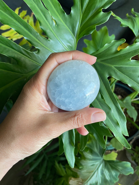 Blue Calcite Palmstone ki