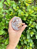 Flower Agate palmstone