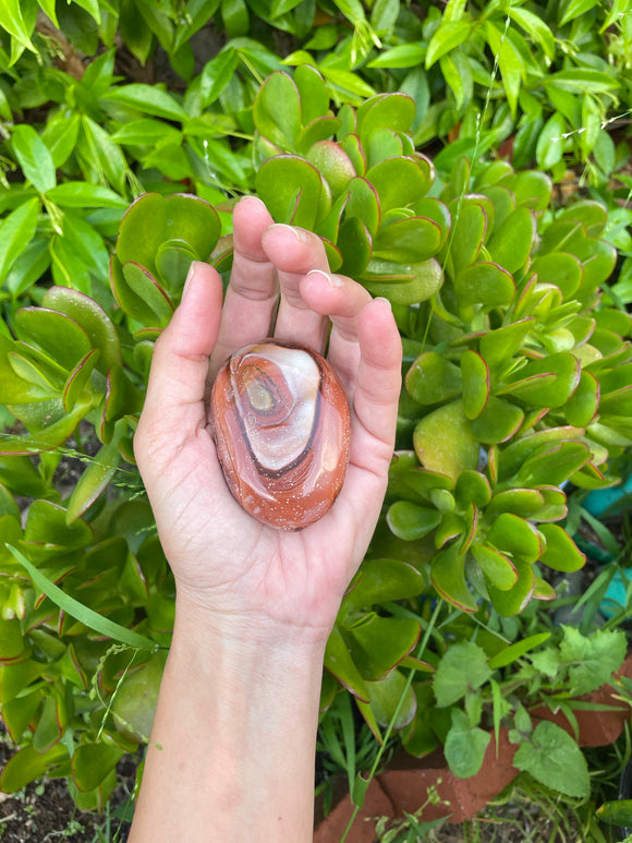 Polychrome Jasper