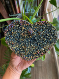 Titanium Quartz Heart