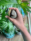 Septarian Palmstone