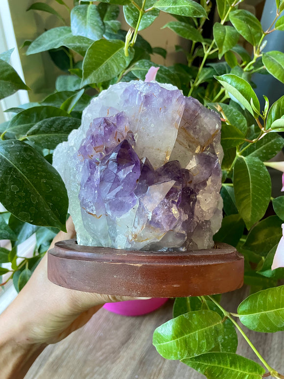 Amethyst on wooden stand